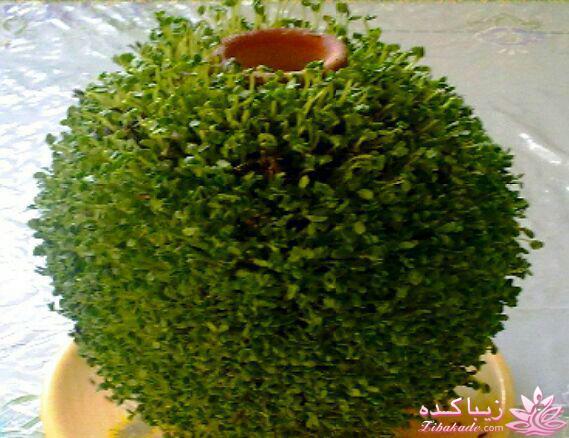 آموزش تزیین سفره هفت سین