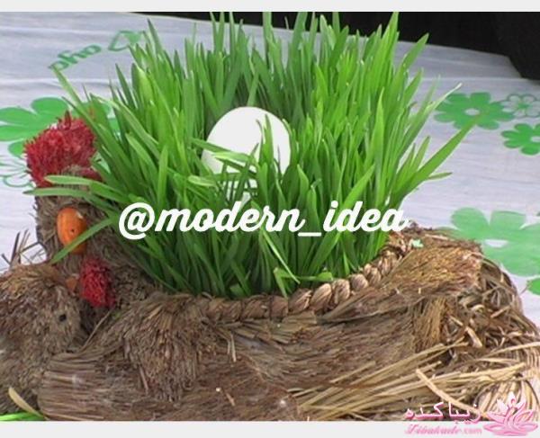 سبزه عید را خودتان سبز کنید !