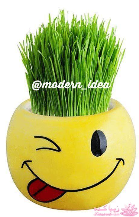 سبزه عید را خودتان سبز کنید !