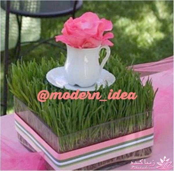 سبزه عید را خودتان سبز کنید !