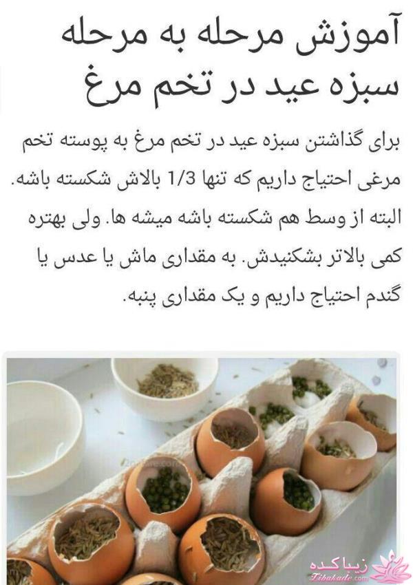 آموزش تزیین سفره هفت سین