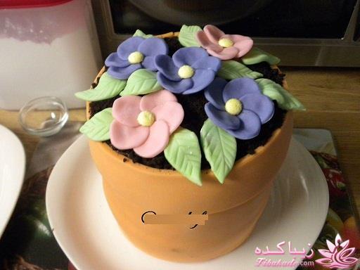 آموزش روشهای مختلف تزئین کیک