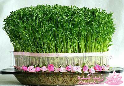 آموزش تزیین سفره هفت سین