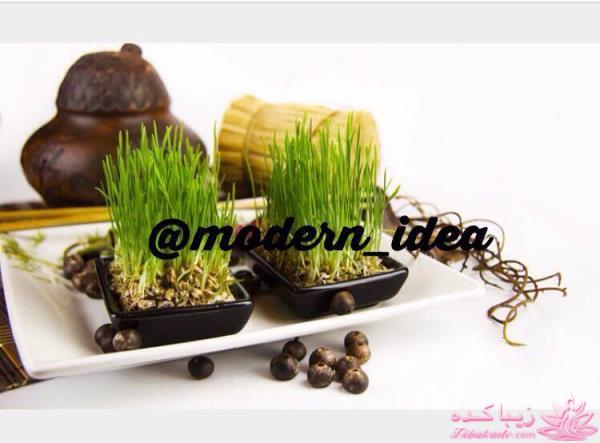 سبزه عید را خودتان سبز کنید !