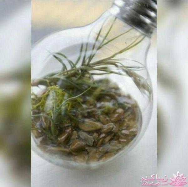 ایده های خلاقانه