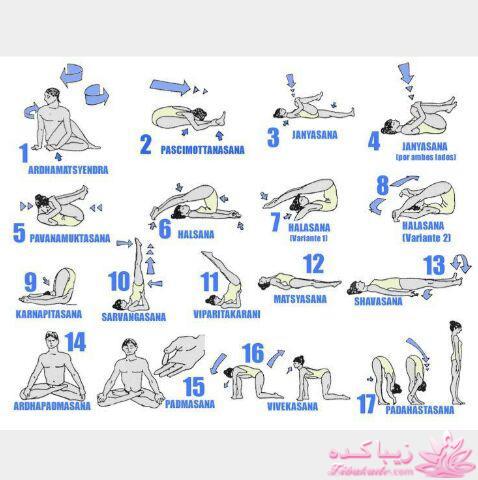 ضایعات عضلانی و عصبی