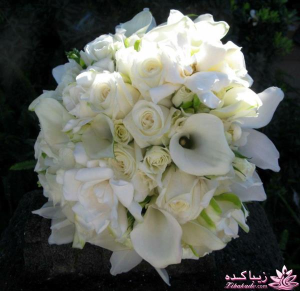 اتاق عقدهای زیبا / دسته گل عروس / ماشین عروس