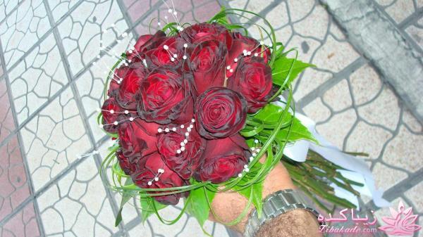 اتاق عقدهای زیبا / دسته گل عروس / ماشین عروس