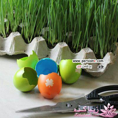 ایده ای زیبا برای سبزه ی سفره هفت سین