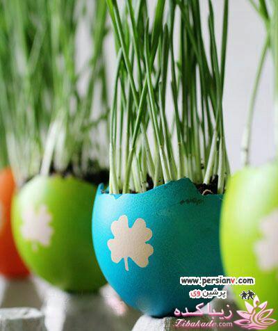 ایده ای زیبا برای سبزه ی سفره هفت سین