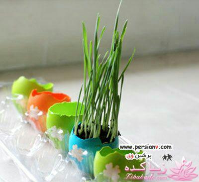 ایده ای زیبا برای سبزه ی سفره هفت سین