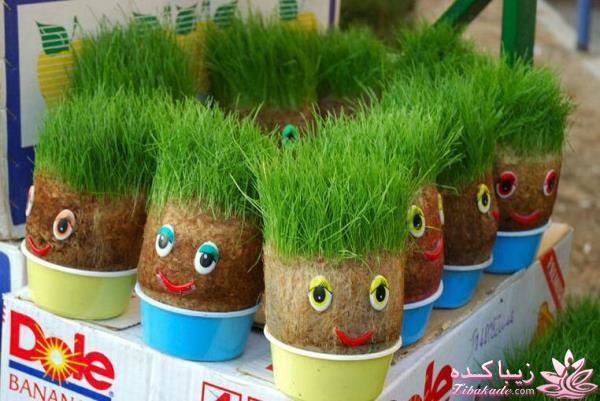 ایده ای زیبا برای سبزه ی سفره هفت سین