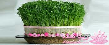 ایده ای زیبا برای سبزه ی سفره هفت سین