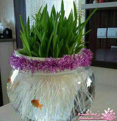 ایده ای زیبا برای سبزه ی سفره هفت سین