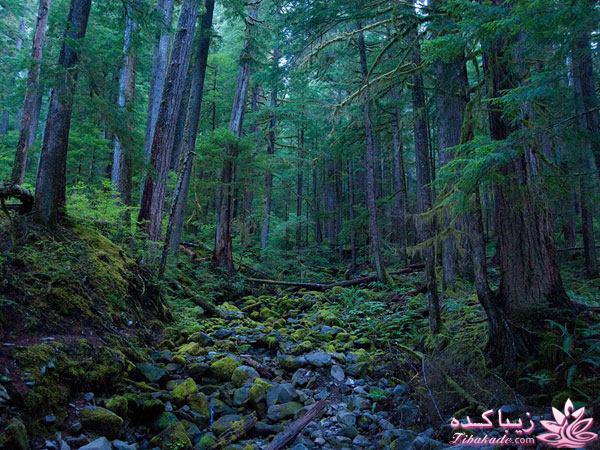 تصاویر منتخب مجله نشنال جئوگرافیک