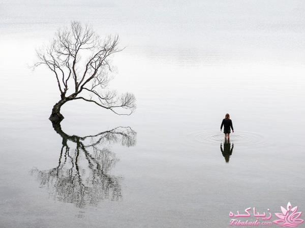 تصاویر منتخب مجله نشنال جئوگرافیک