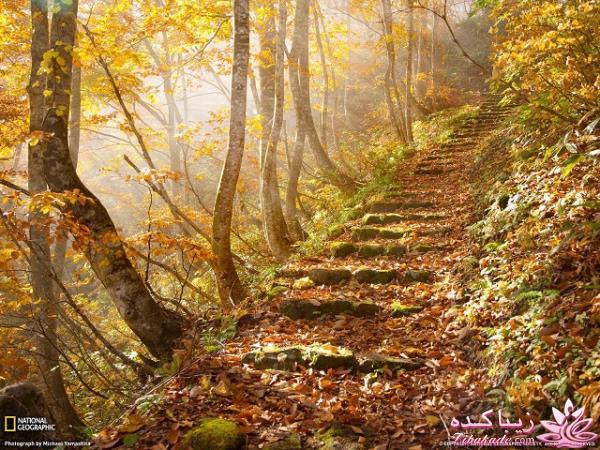 تصاویر منتخب مجله نشنال جئوگرافیک