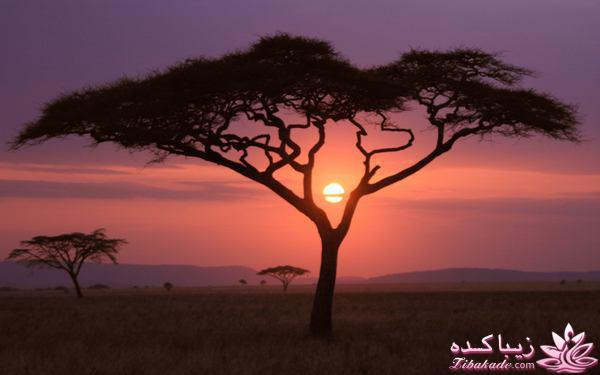 تصاویر منتخب مجله نشنال جئوگرافیک