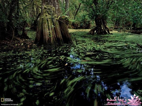 تصاویر منتخب مجله نشنال جئوگرافیک