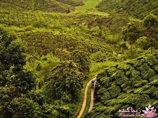 تصاویر منتخب مجله نشنال جئوگرافیک