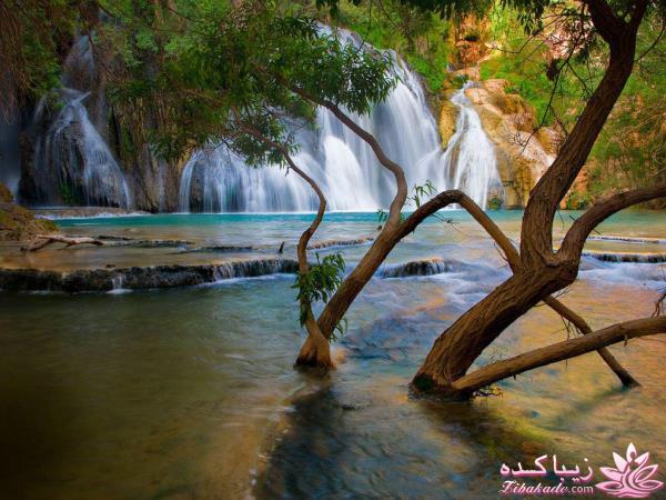 تصاویر منتخب مجله نشنال جئوگرافیک