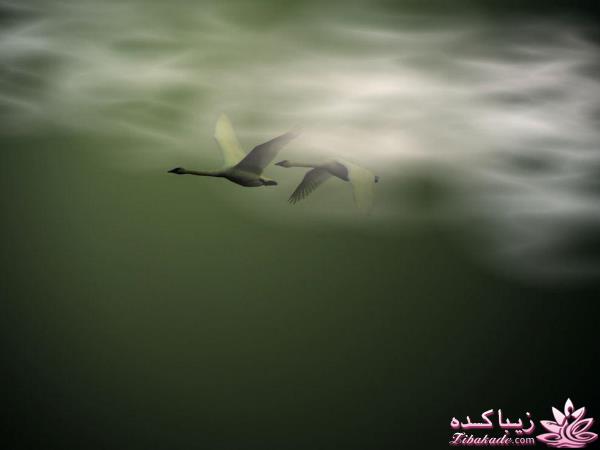 تصاویر منتخب مجله نشنال جئوگرافیک