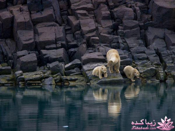 تصاویر منتخب مجله نشنال جئوگرافیک