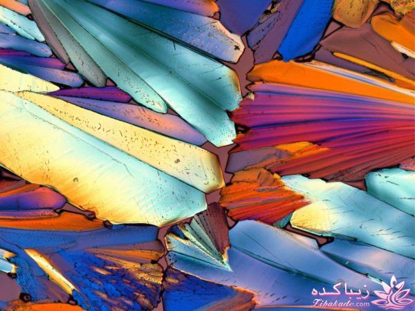 تصاویر منتخب مجله نشنال جئوگرافیک