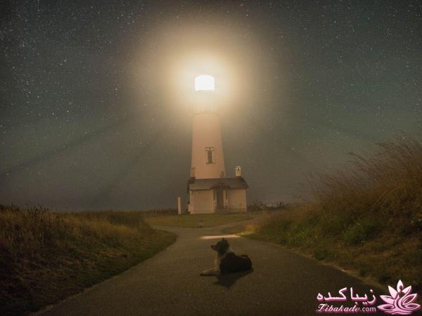 تصاویر منتخب مجله نشنال جئوگرافیک