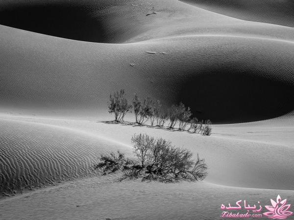 تصاویر منتخب مجله نشنال جئوگرافیک