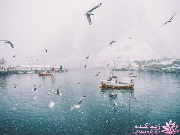 تصاویر منتخب مجله نشنال جئوگرافیک