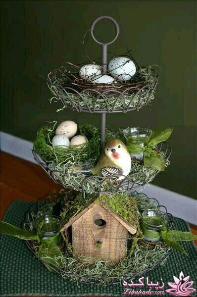 نمونه هایی از هفا سین های بسیار زیبا