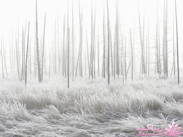 تصاویر منتخب مجله نشنال جئوگرافیک