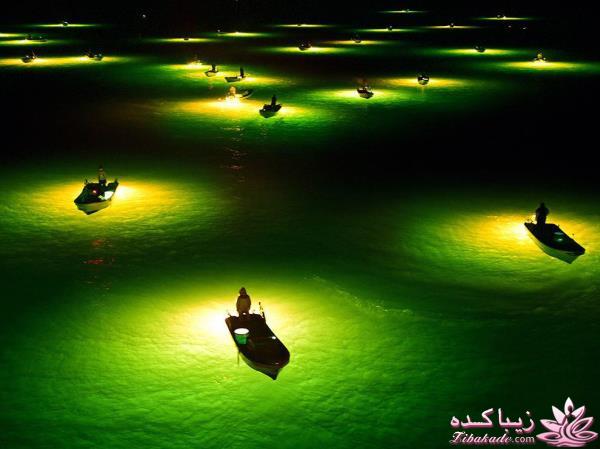 تصاویر منتخب مجله نشنال جئوگرافیک