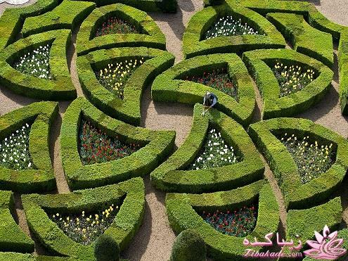 تصاویر منتخب مجله نشنال جئوگرافیک