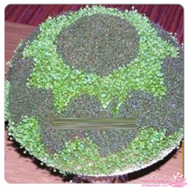 ایده ای زیبا برای سبزه ی سفره هفت سین