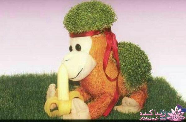 ایده ای زیبا برای سبزه ی سفره هفت سین