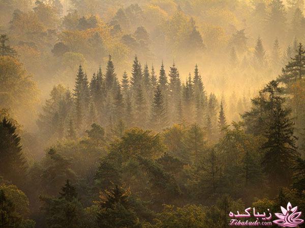 تصاویر منتخب مجله نشنال جئوگرافیک