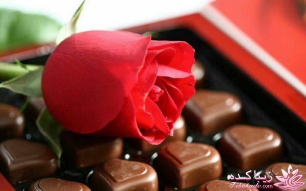 انواع کیک و شیرینی