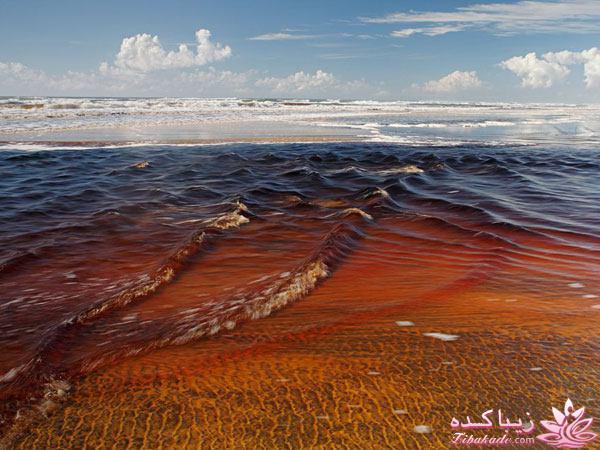 تصاویر منتخب مجله نشنال جئوگرافیک