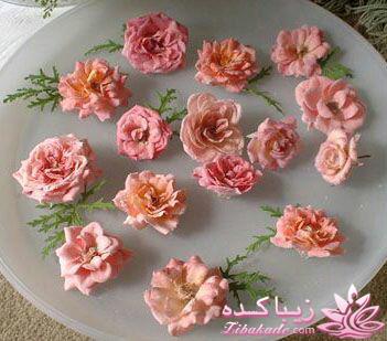 انواع دسر | انواع ژله