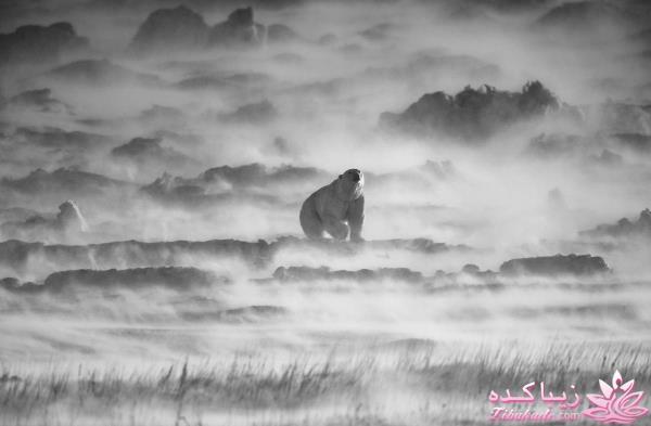 تصاویر منتخب مجله نشنال جئوگرافیک