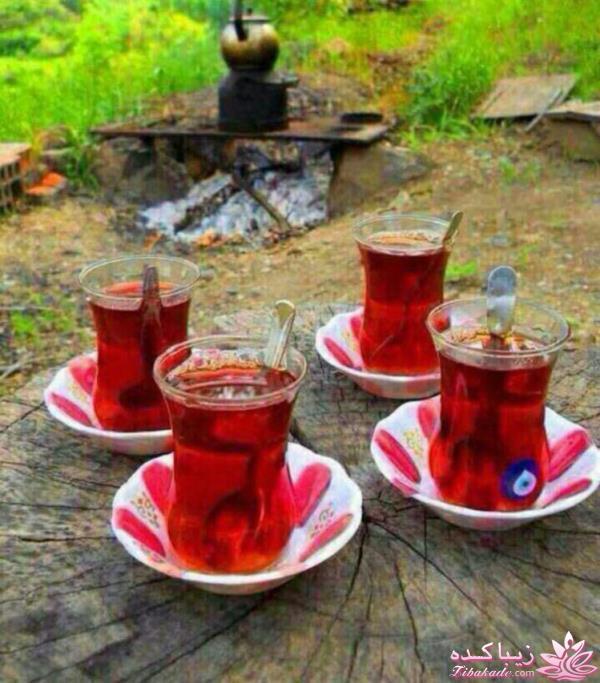 كافه گفت وگو ...