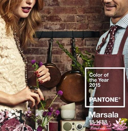 رنگ سال 2015 رنگ عنابی (شرابی خاکی)