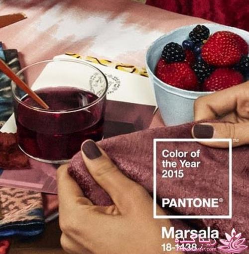 رنگ سال 2015 رنگ عنابی (شرابی خاکی)