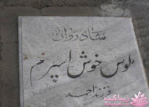 كافه گفت وگو ...