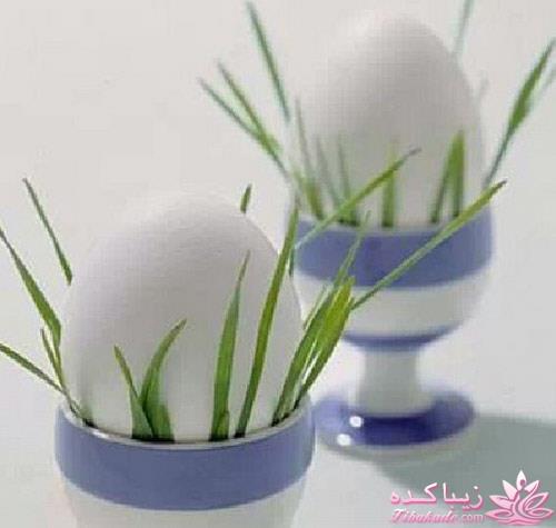سبزه عید را خودتان سبز کنید !