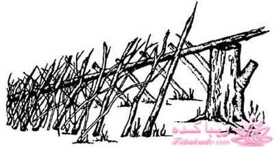 بقیه داستانو بنویس ...