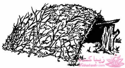 بقیه داستانو بنویس ...