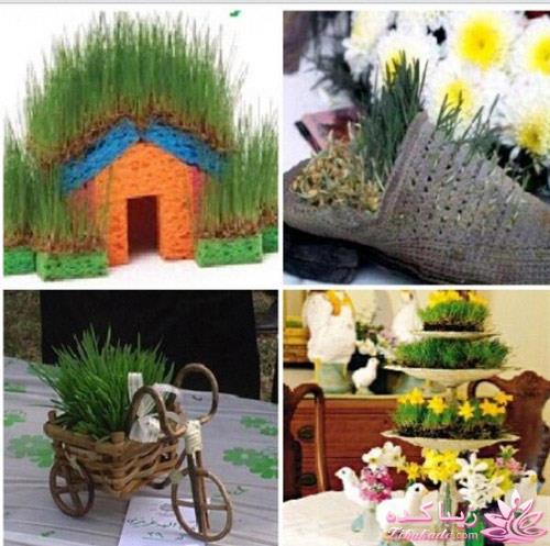 سبزه عید را خودتان سبز کنید !